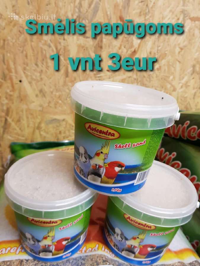 Banguotos papūgėlės 2mėn-7mėn - nuotraukos Nr. 6