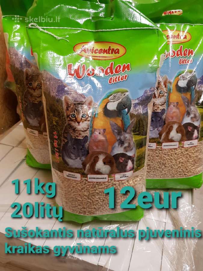Banguotos papūgėlės 2mėn-7mėn - nuotraukos Nr. 8
