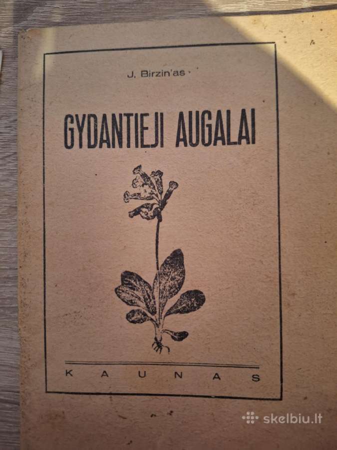 Senovinė knyga