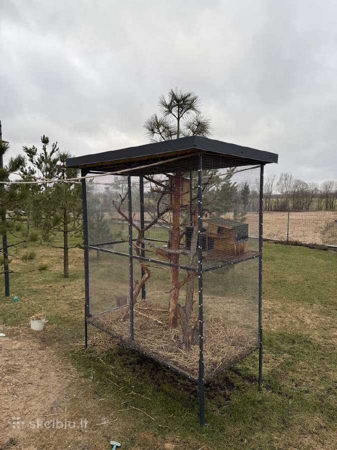 Kokybiškas narvas voverėms