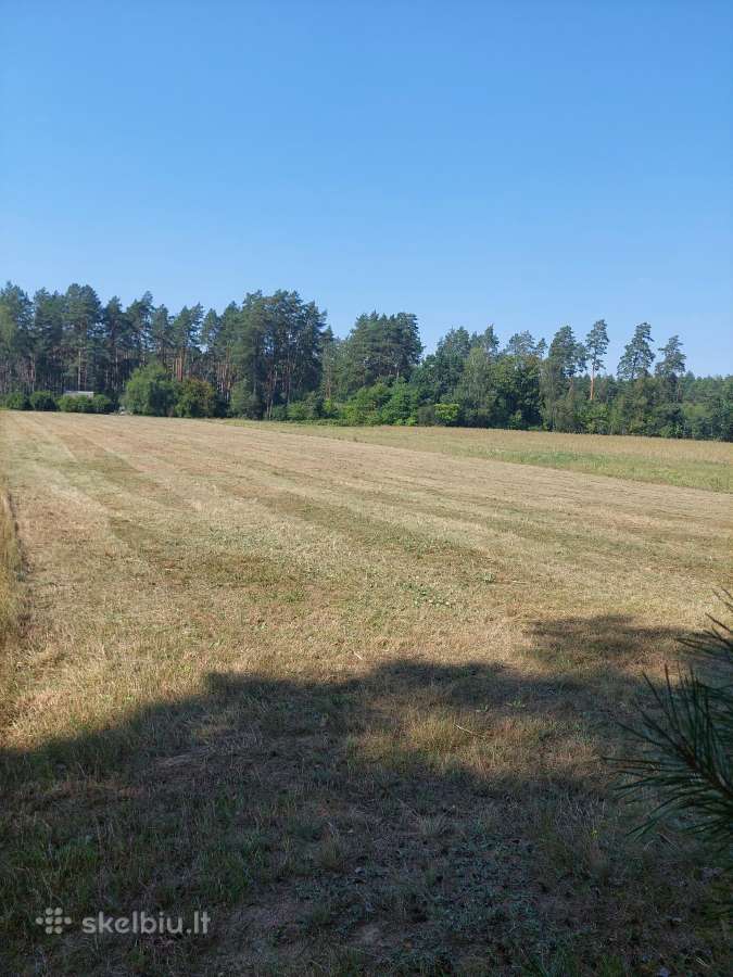 Žemės sklypas - nuotraukos Nr. 4