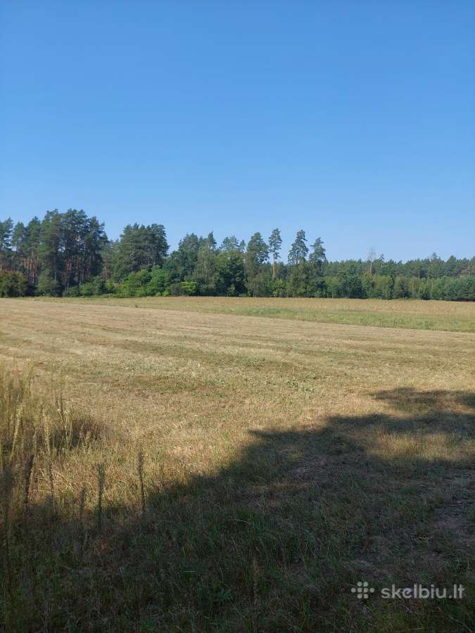 Žemės sklypas - nuotraukos Nr. 5