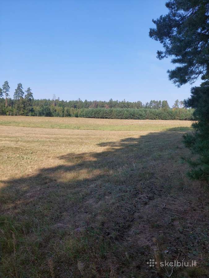 Žemės sklypas - nuotraukos Nr. 6