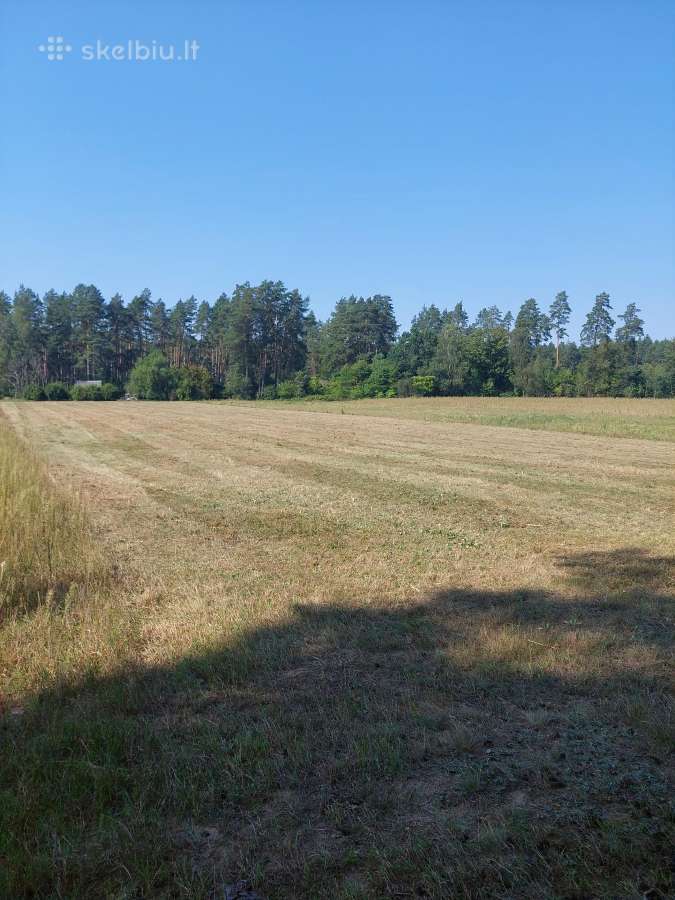 Žemės sklypas - nuotraukos Nr. 2