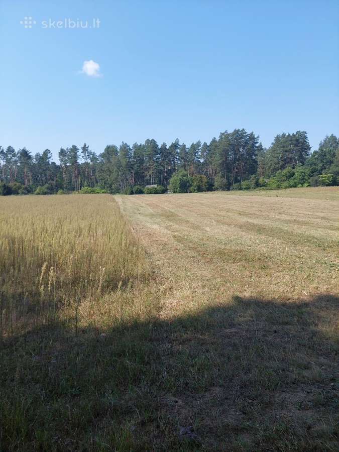 Žemės sklypas - nuotraukos Nr. 7