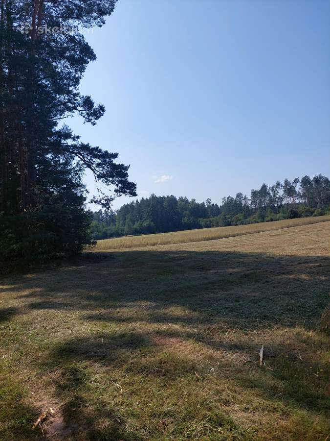 Žemės sklypas - nuotraukos Nr. 8