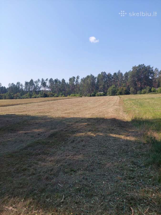 Žemės sklypas - nuotraukos Nr. 9