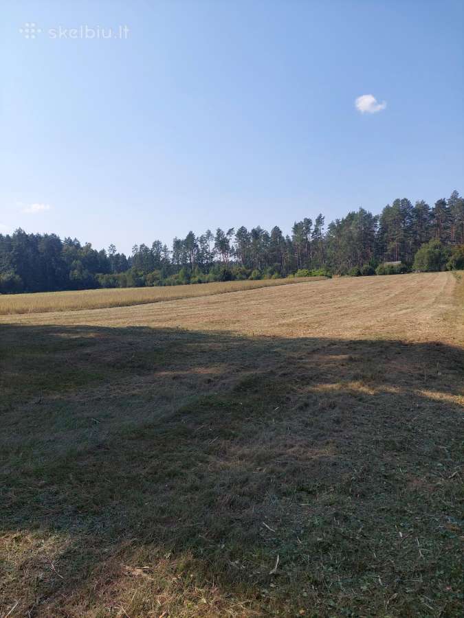 Žemės sklypas - nuotraukos Nr. 10