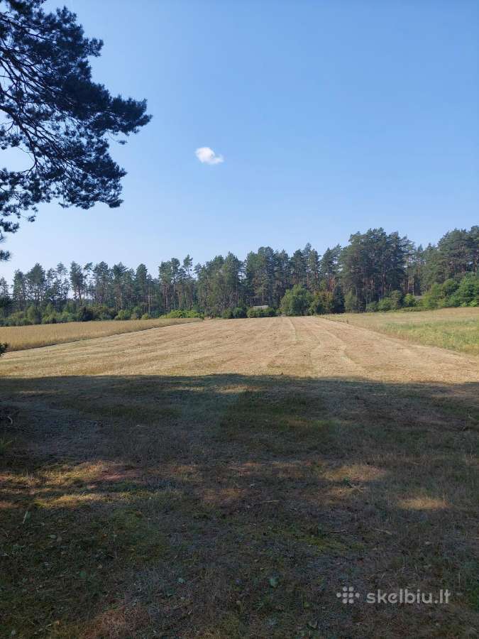 Žemės sklypas - nuotraukos Nr. 11