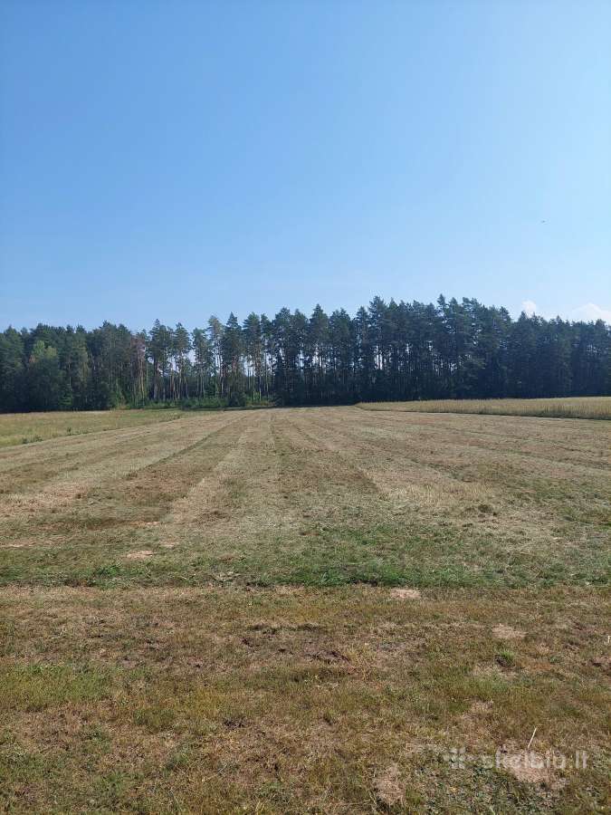 Žemės sklypas - nuotraukos Nr. 12