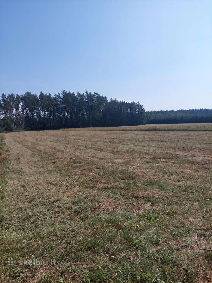 Žemės sklypas - nuotraukos Nr. 13
