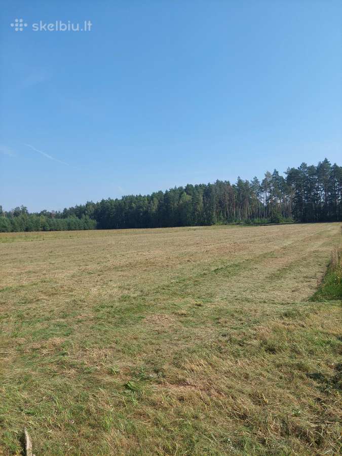 Žemės sklypas - nuotraukos Nr. 2