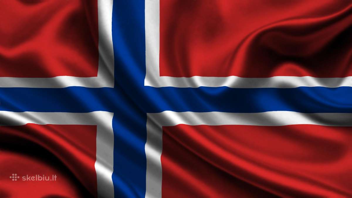 Norvegų kalbos pamokos nuotoliu (internetu)