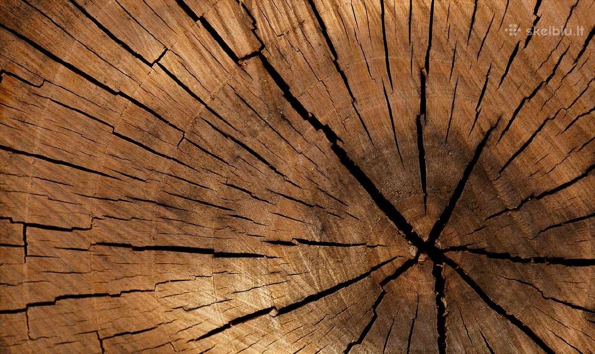Statybinė mediena I-beam (dvitejinės sijos)