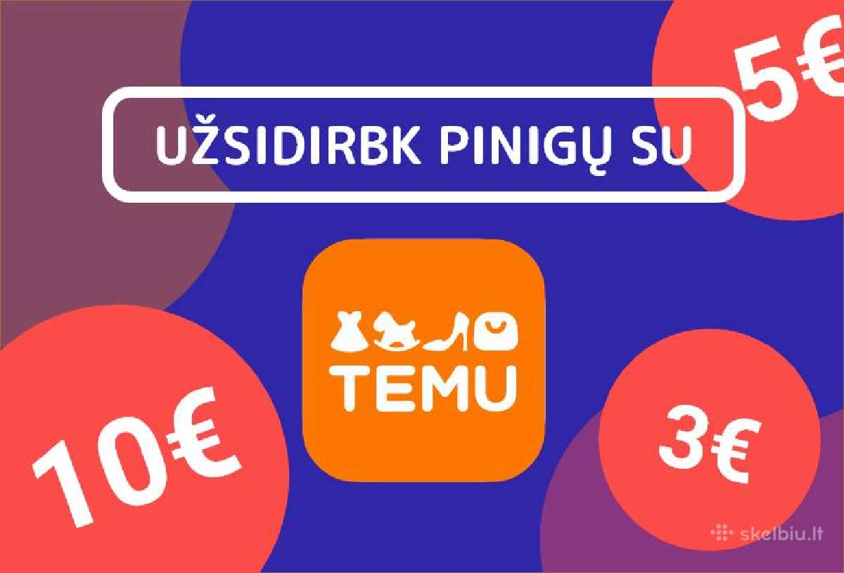 Pinigai iš Temu
