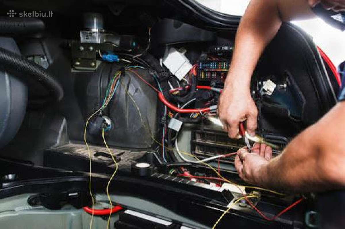 Autoelektrikas Vilniuje Autodiagnostika I Vieta - nuotraukos Nr. 3