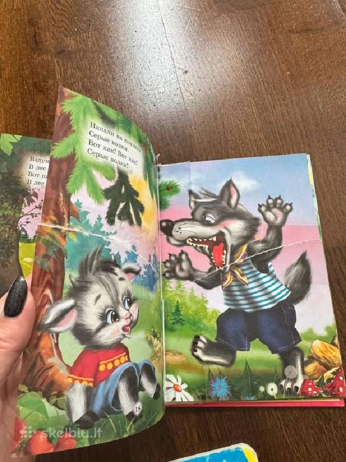 Pirmosios knygutės - nuotraukos Nr. 5