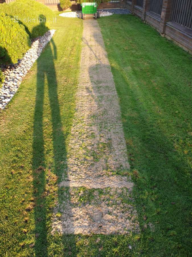 Vejos aeravimas, skarifikavimas,vejos atnaujinimas - nuotraukos Nr. 10