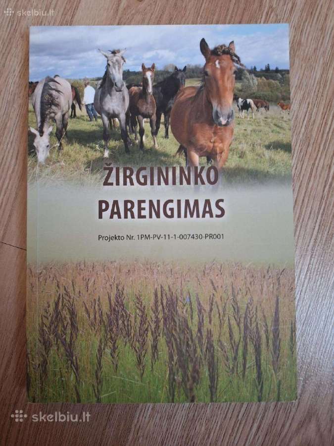 Žirgininko parengimas