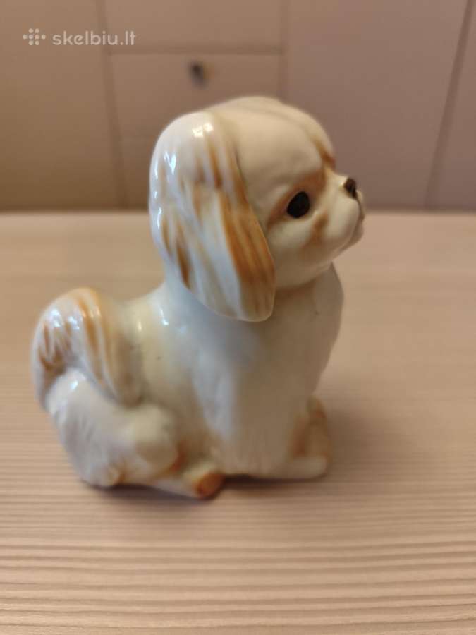 Pekinukas - nuotraukos Nr. 2