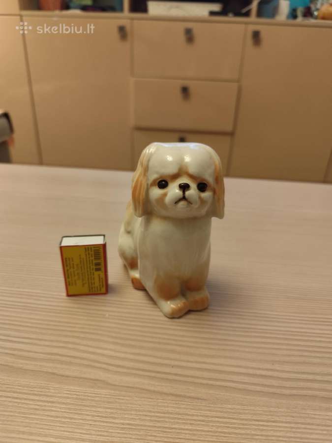 Pekinukas - nuotraukos Nr. 5
