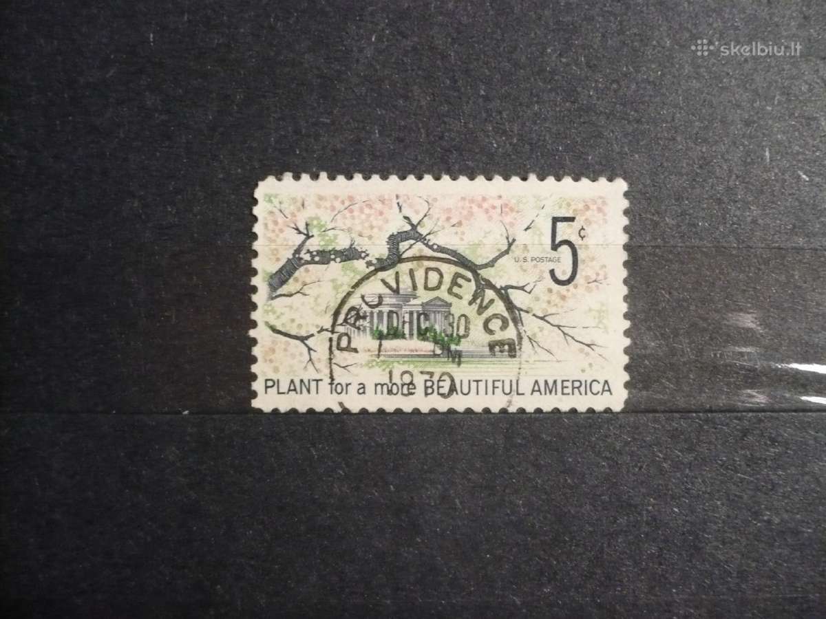 1966 m. Amerikos pagražinimas