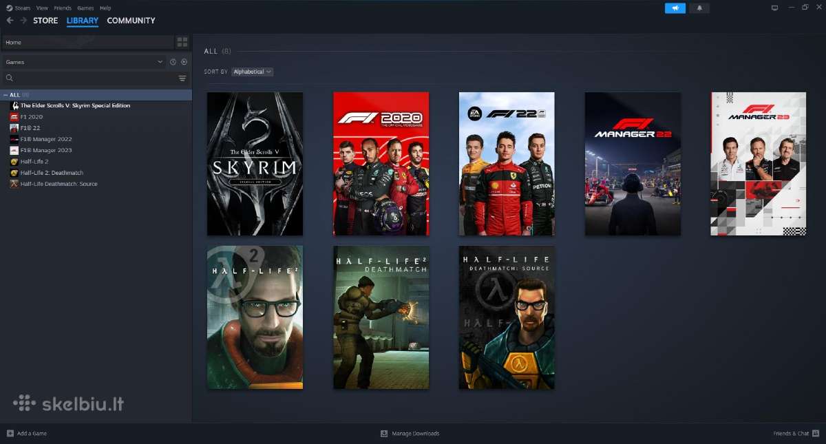 Steam: Skyrim, F1 Manager 22/23, F1 2020/22, Hl2