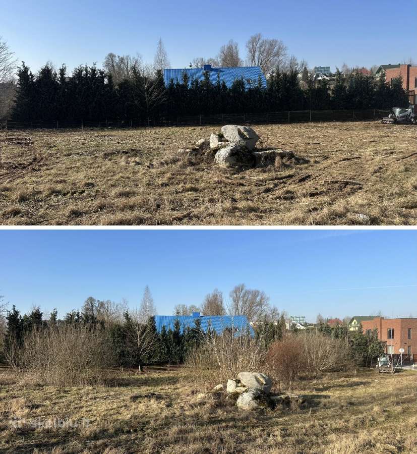 Vejos įrengimas / Apleistų sklypų frezavimas - nuotraukos Nr. 3
