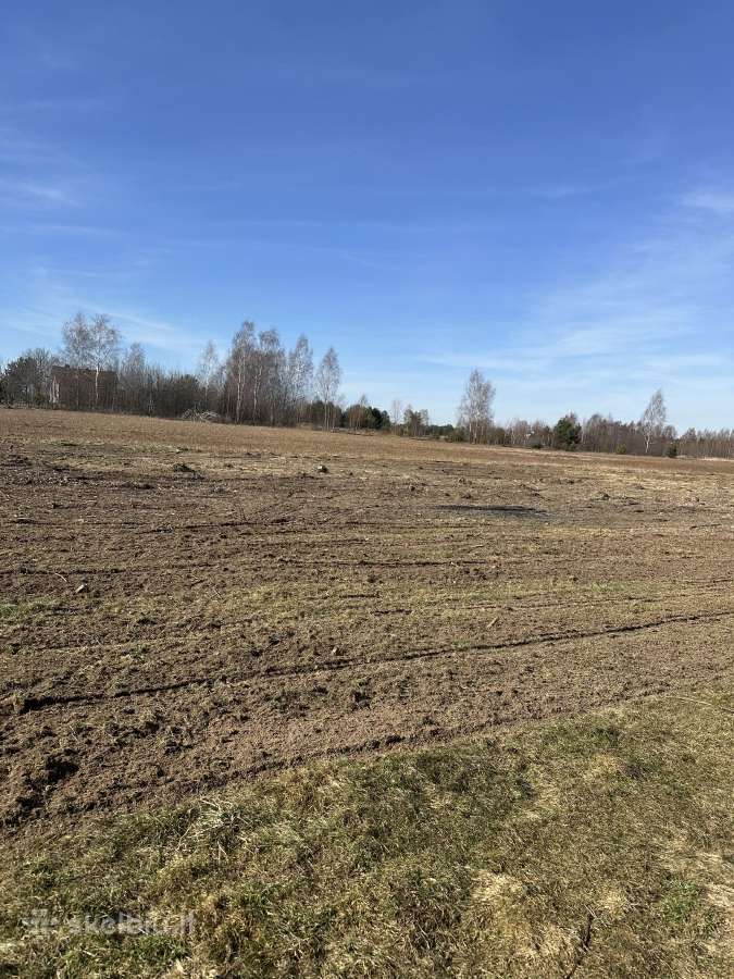 Vejos įrengimas / Apleistų sklypų frezavimas - nuotraukos Nr. 21