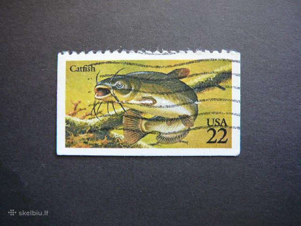 Zuvys JAV antsp. us1030