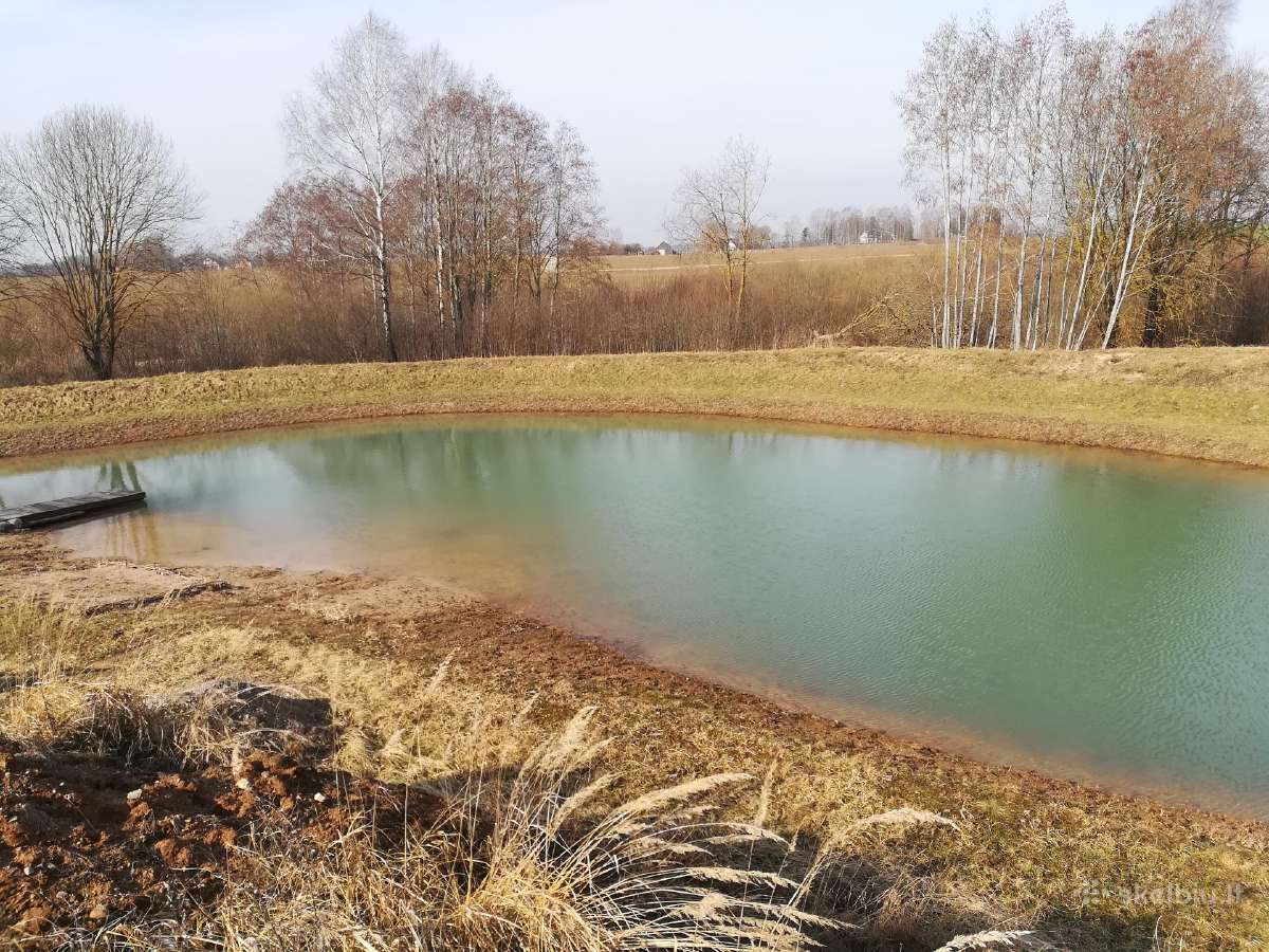 1,33ha sklypas prie Šiaulių jūros - nuotraukos Nr. 5