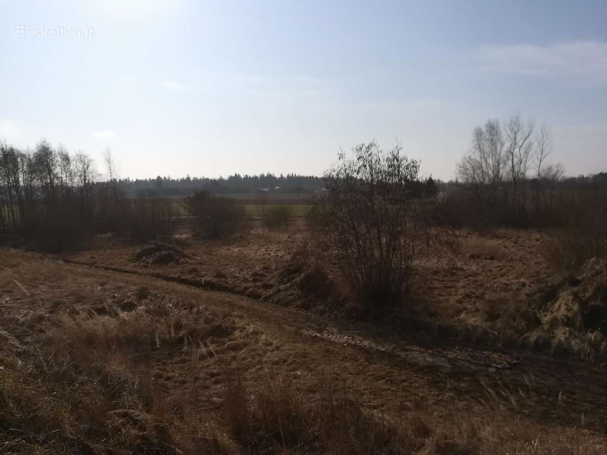 1,33ha sklypas prie Šiaulių jūros - nuotraukos Nr. 13