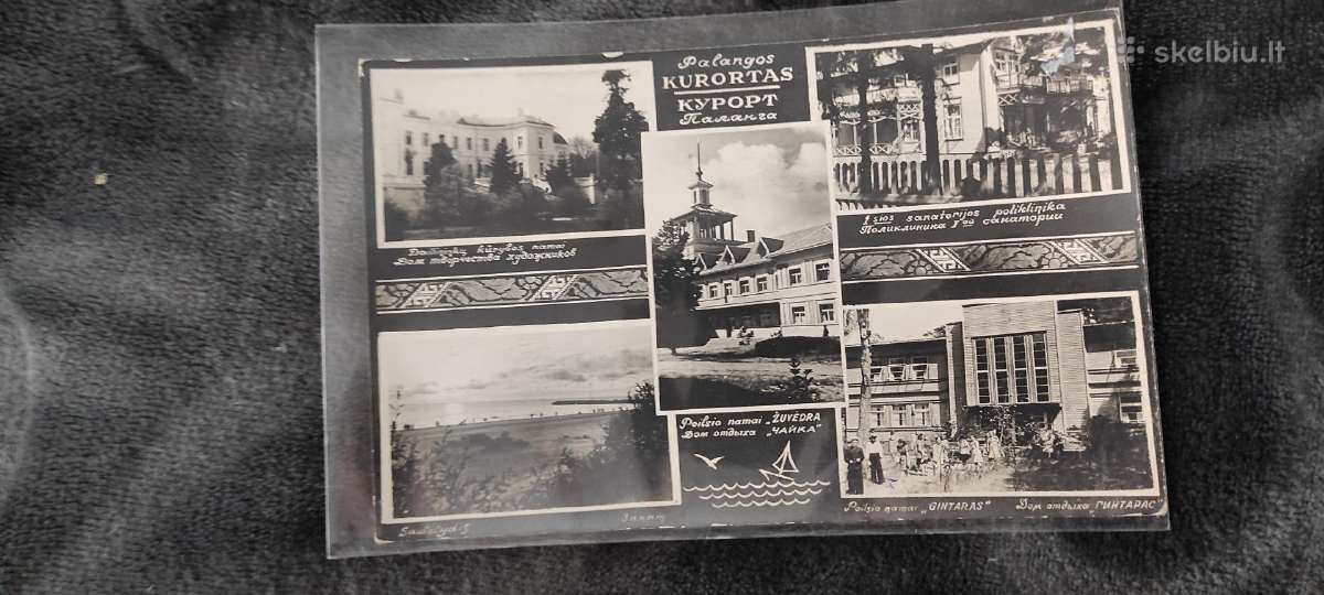 Palanga 31 Atvirukai nuotraukos kolekcija