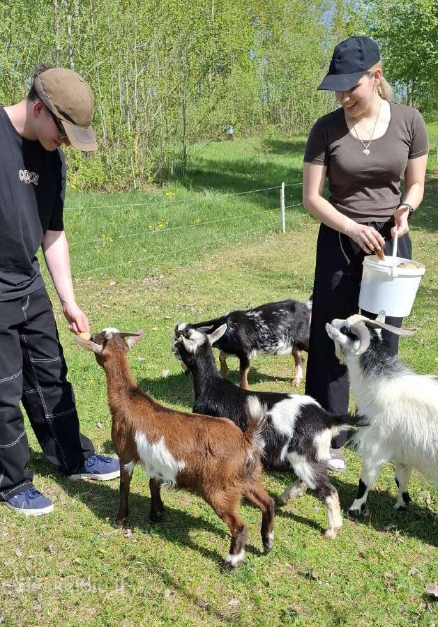 Baidarių ir poilsiavietės nuoma prie Širvintos - nuotraukos Nr. 7