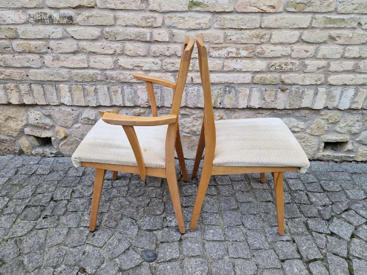 Vintažinės Mid Century bukmedžio kėdės Casala - nuotraukos Nr. 33