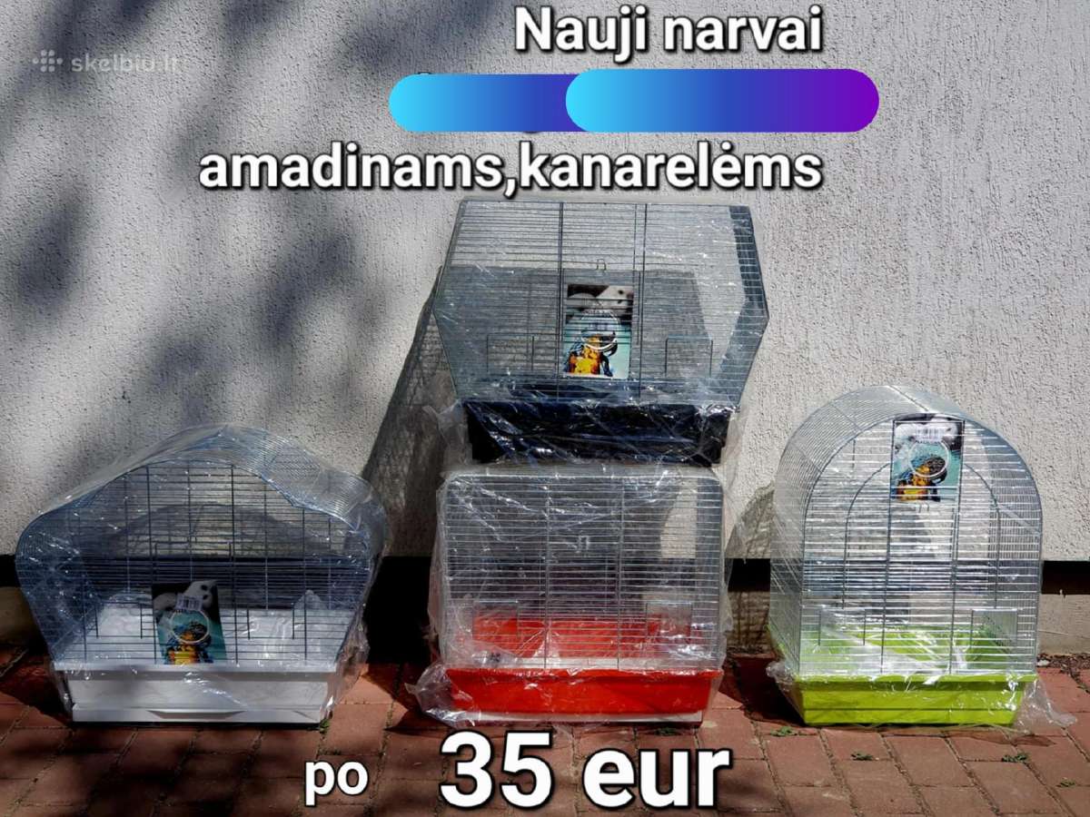 Profesionalus maistas papugoms - nuotraukos Nr. 26