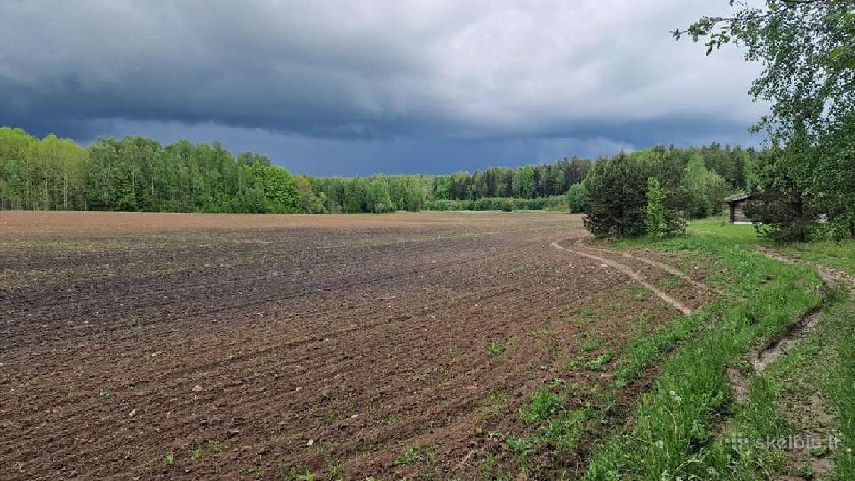 Parduodu žemės ūkio paskirties sklypą - nuotraukos Nr. 2