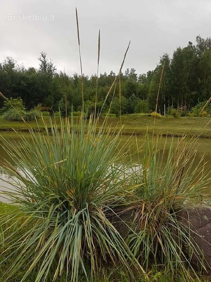 Sodybos su pirtimi ir kubilu nuoma Vilniaus rajone - nuotraukos Nr. 24