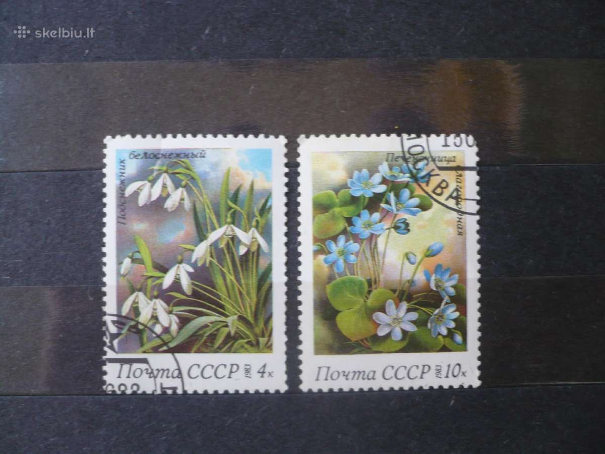 1983 m. pavasario gėlės