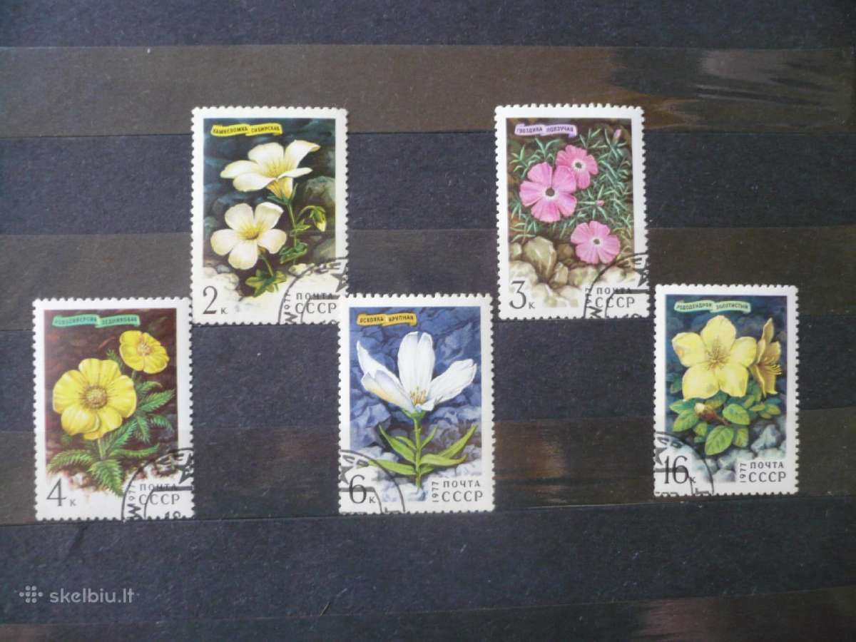 1977 Sibiro gėlės