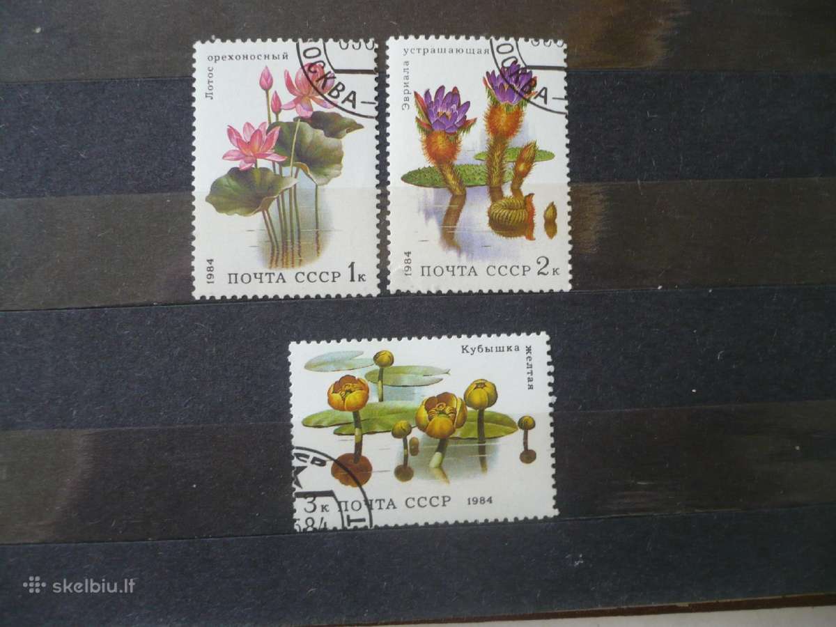 1984 m. vandens gėlės