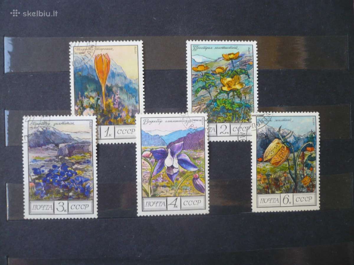 1976 m. Kaukazo gėlės