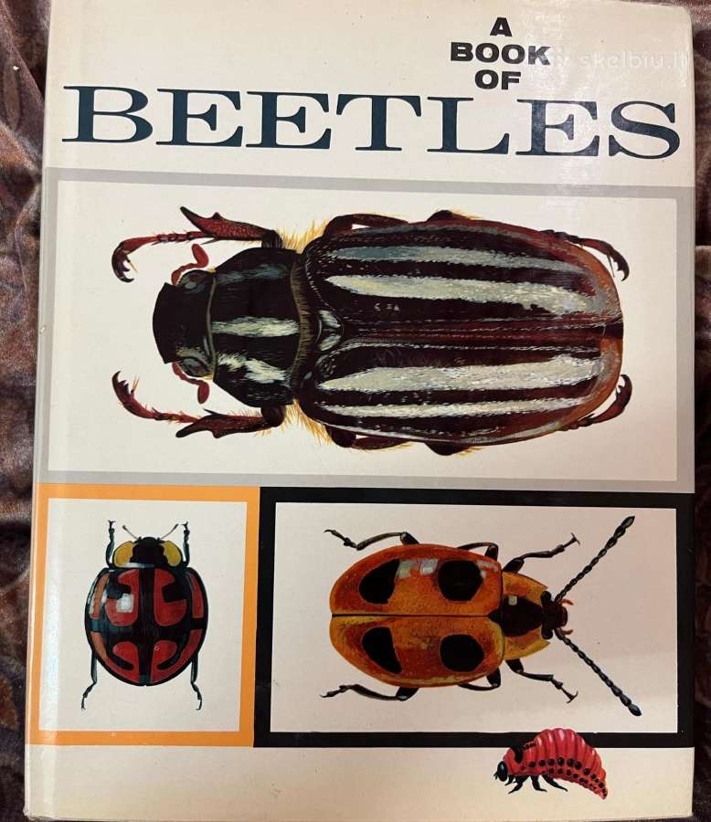 A Book Of Beetles (Dr. Josef R. Winkler - 1965)
