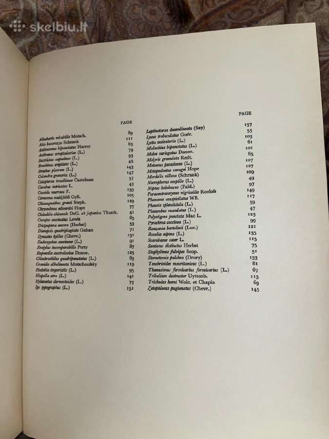 A Book Of Beetles (Dr. Josef R. Winkler - 1965) - nuotraukos Nr. 7