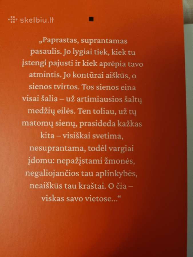 Internatas - nuotraukos Nr. 2