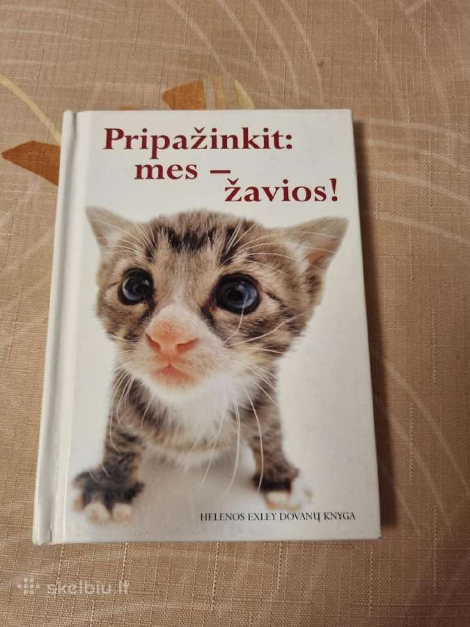 Pripažinkit : mes - žavios !