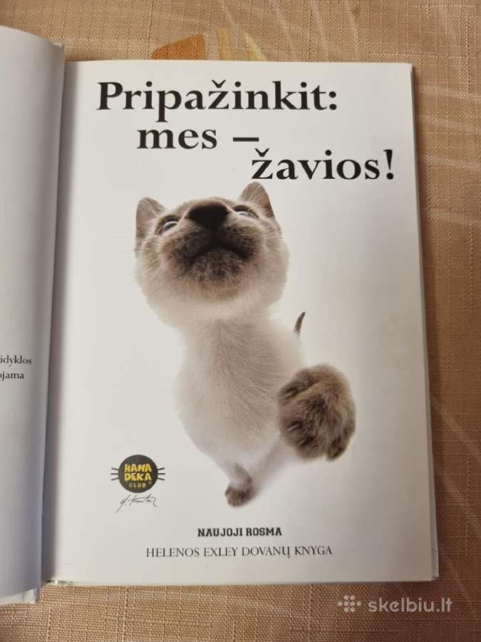 Pripažinkit : mes - žavios ! - nuotraukos Nr. 2
