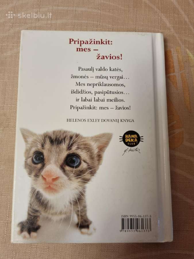 Pripažinkit : mes - žavios ! - nuotraukos Nr. 5