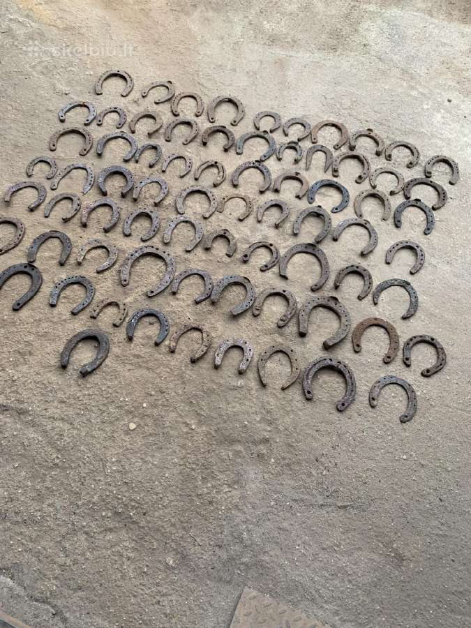 Pasagos
