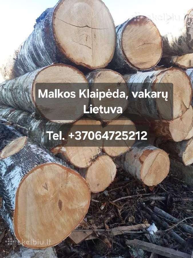 Malkos beržo ąžuolo mišrios Klaipėdoje